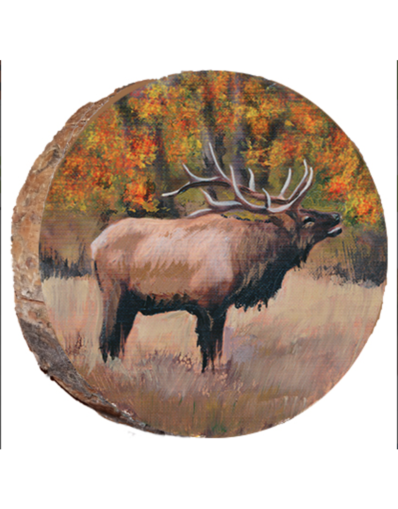 Fall Bugling Elk EP