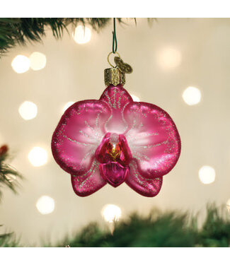 Old World Christmas Orchid