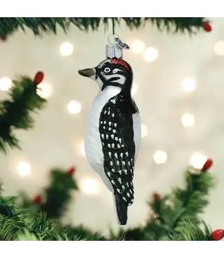 Old World Christmas Hairy Woodpecker