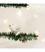 Sparkling Snowbird