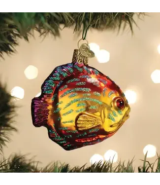 Old World Christmas Discus Fish