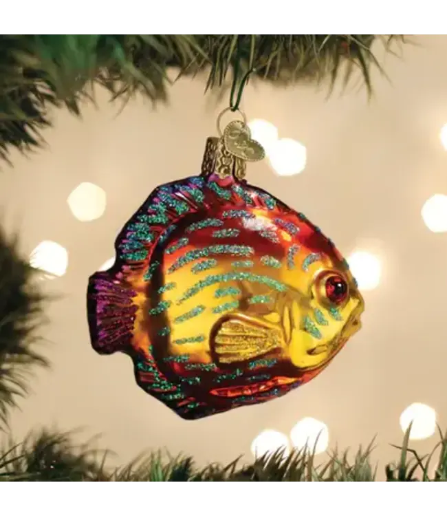Discus Fish Ornament The Christmas Shoppe