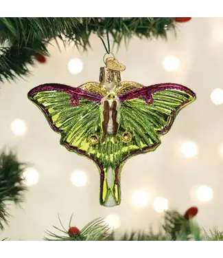 Old World Christmas Luna Moth Ornament