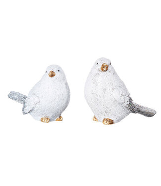 Small Glistening Snowbirds