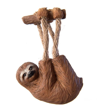 Bert Anderson Sloth