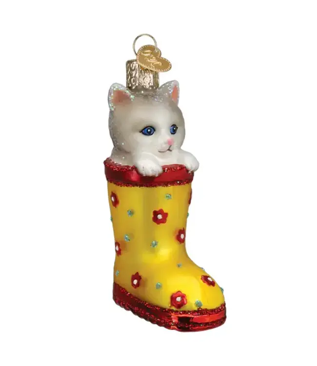 Kitten in Rain Boot