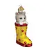 Kitten in Rain Boot