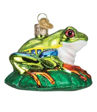 Old World Christmas Red-Eyed Tree Frog