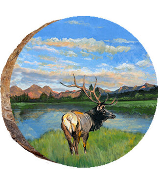 Elk on Stream