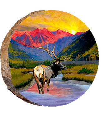 Sunset Elk Mountain Stream