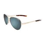 Tifosi Tifosi Shwae Midnight Gold