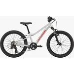 Cannondale Cannondale Kid's Trail 20 Silver