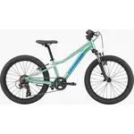 Cannondale Cannondale Kid's Trail 20