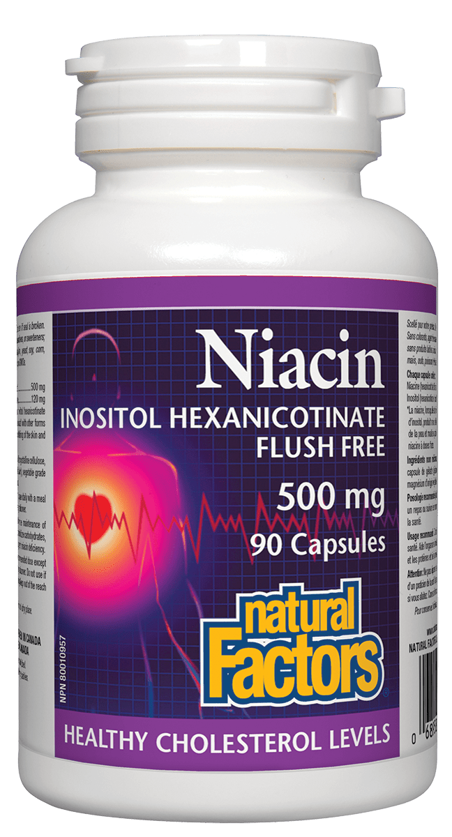 Natural Factors - Niacin 500 mg - 90 Caps