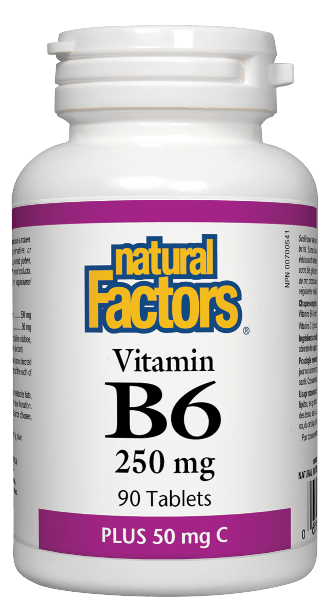 Natural Factors - Vitamin B6 250mg w/ Vitamin C - 90s