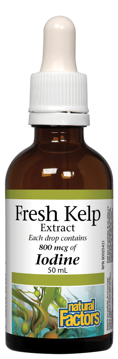 Natural Factors - Fresh Kelp Extract - 50ml