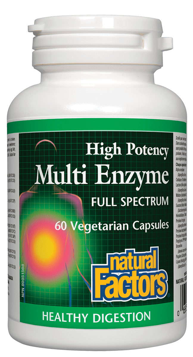 Natural Factors - High Potency Multi Enzyme - 60 Caps