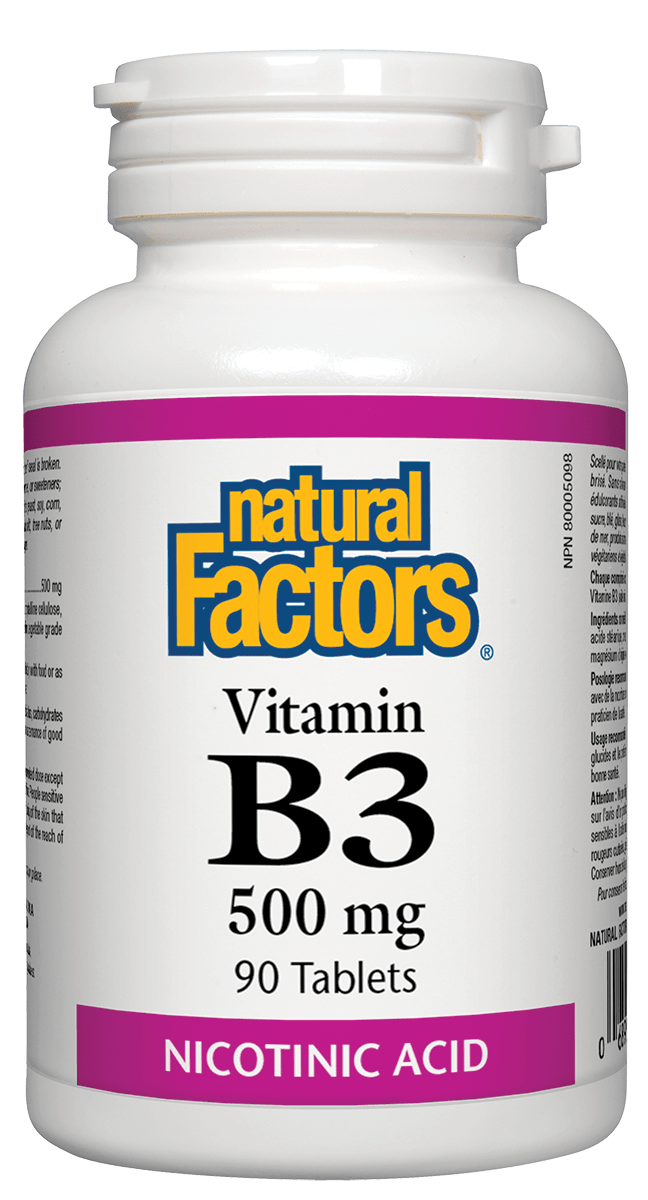 Natural Factors - Vitamin B3 500mg - 90 Tabs