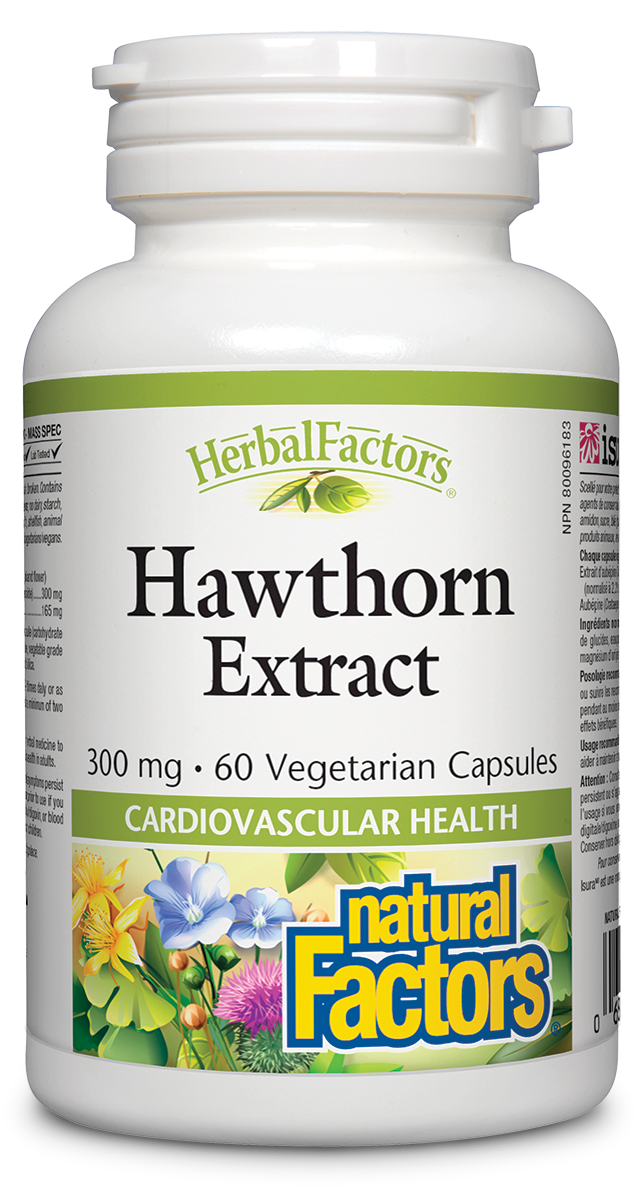 Natural Factors - Hawthorn Extract 300 mg - 60 Caps