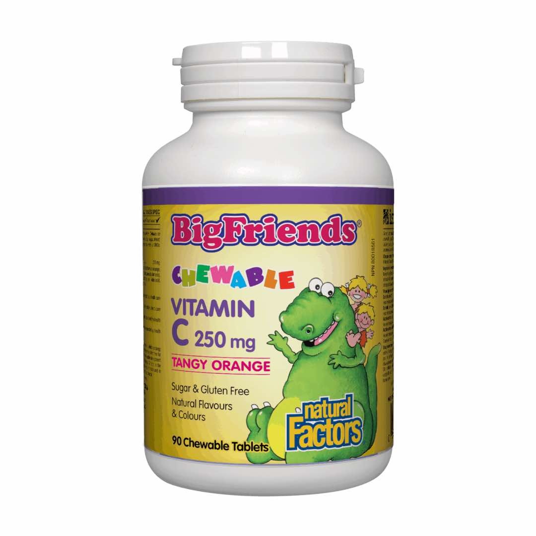 Natural Factors - Big Friends - Vitamin C 250mg - Tangy Orange - 90 Chewable