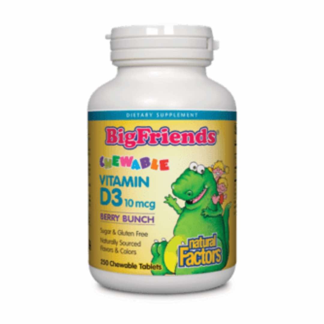 Natural Factors - Big Friends - Vitamin D3 400IU - Berry - 250 Chewable
