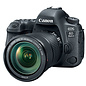 Canon EOS 6D Mark II w/ 24-105mm IS STM