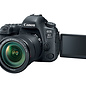 Canon EOS 6D Mark II w/ 24-105mm IS STM