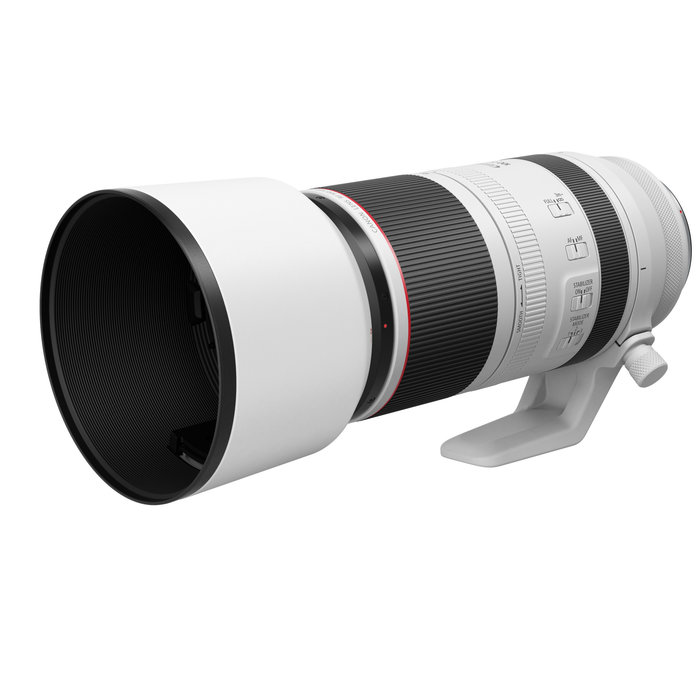 Canon RF 100-500mm F4.5-7.1 L IS USM