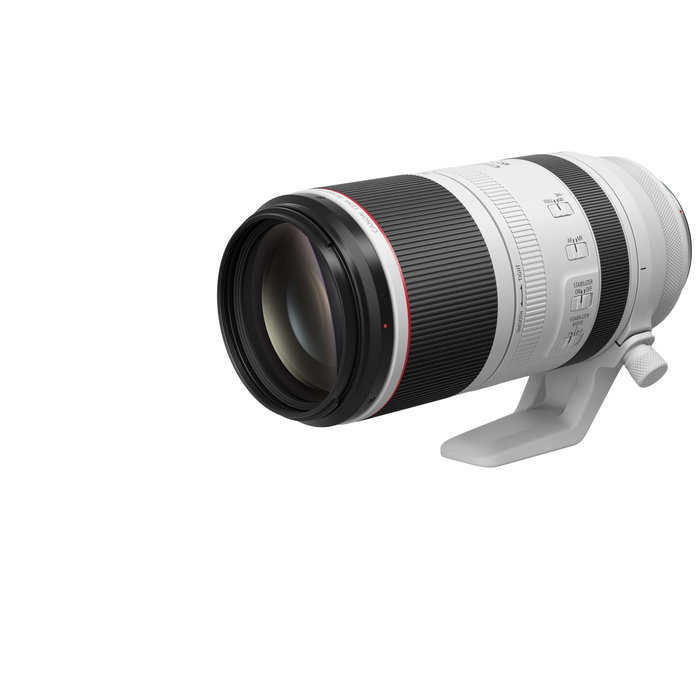 Canon RF 100-500mm F4.5-7.1 L IS USM