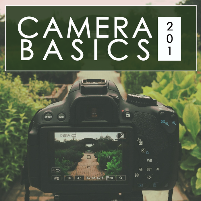 Camera Basics 201: Getting to Know Your Camera - *Date TBD*