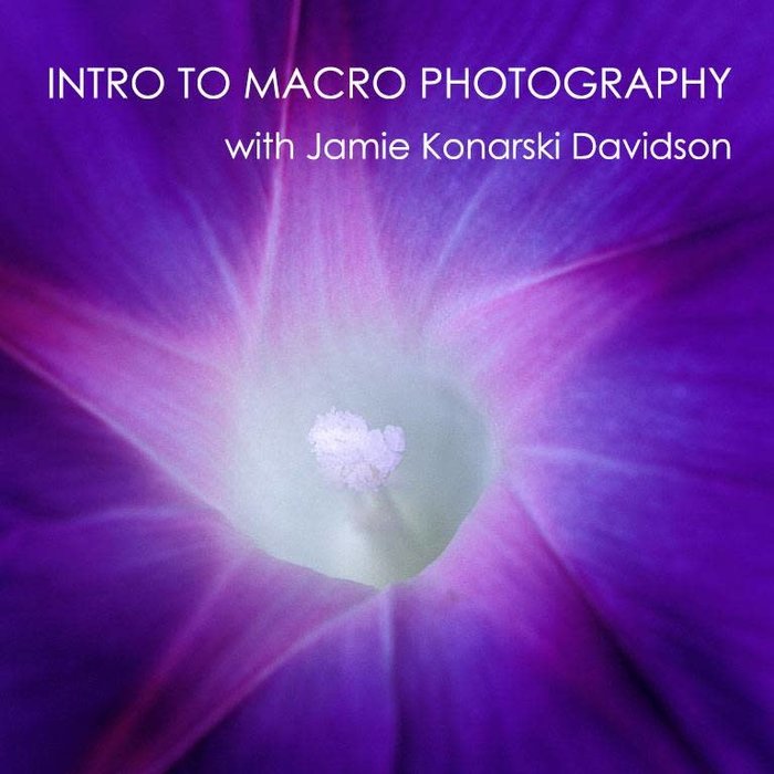 Intro to Macro Photography - *Date TBD*