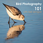 Bird Photography 101 Class - *Date TBD*