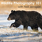 Wildlife Photography 101 - *Date TBD*