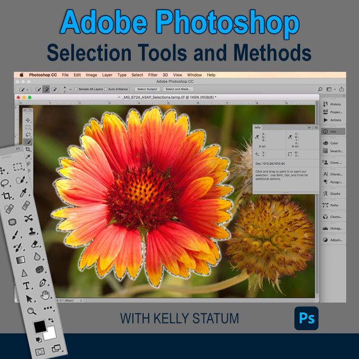 Photoshop Selection Tools and Methods - *Date TBD*
