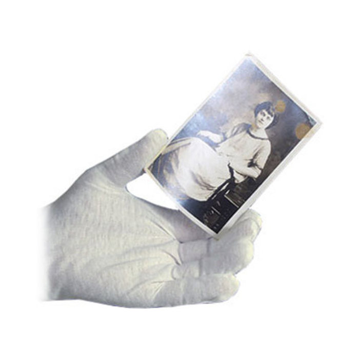 ProMaster Cotton Gloves (12) Pack - Large