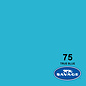 Savage 107" Seamless Paper True Blue