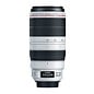 Canon EF 100-400mm f/4-5.6 L IS II USM Lens