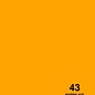 Savage 53" Seamless Paper Marmalade