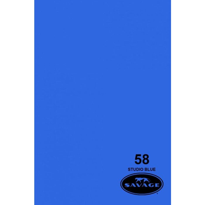 Savage 53" Seamless Paper Studio Blue