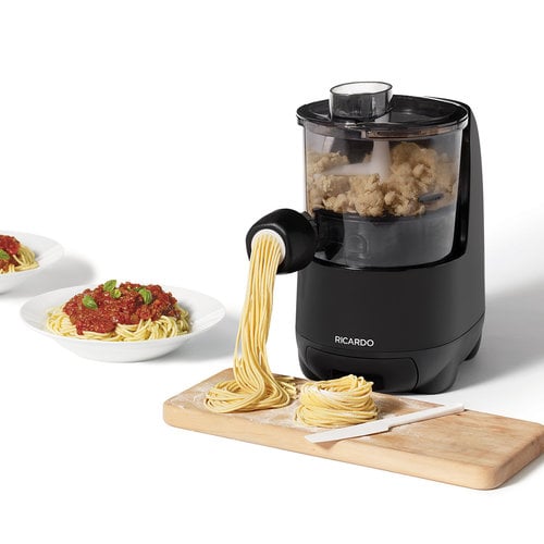 RICARDO Mini Electric Sandwich Maker