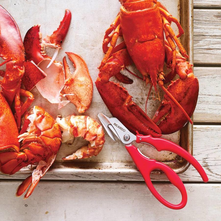 CISEAUX COURBÉS POUR FRUITS DE MER EN ACIER INOX