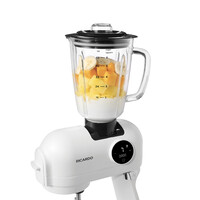 Vertical Mixer for RICARDO Stand Mixer