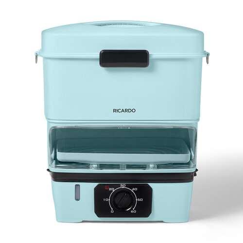 RICARDO Electric Steamer