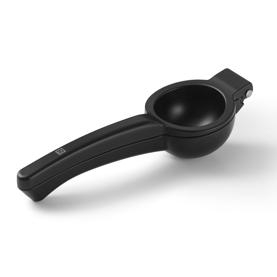 RICARDO Citrus Press - Photo 0