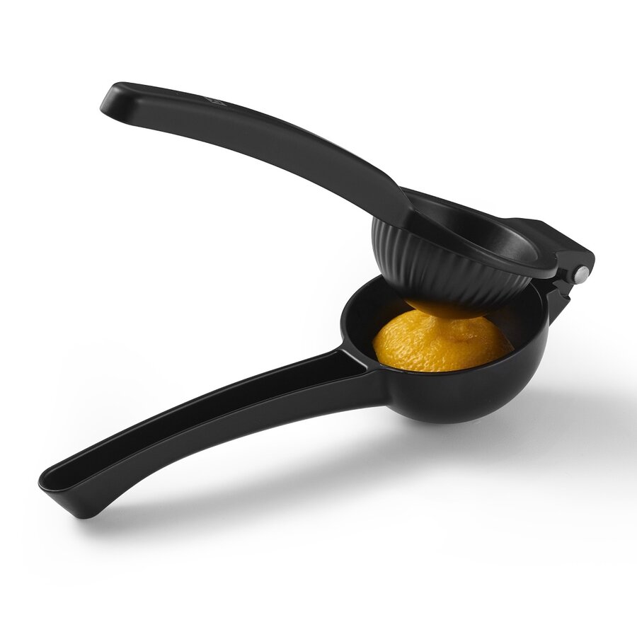 RICARDO Citrus Press - Photo 1