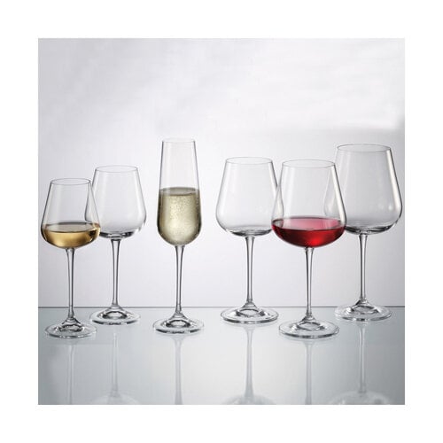 Champagne flute 220 ml