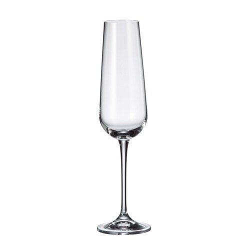 Champagne flute