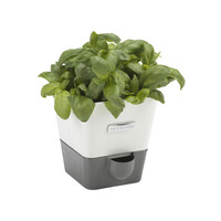Cole & Mason Herb Keeper