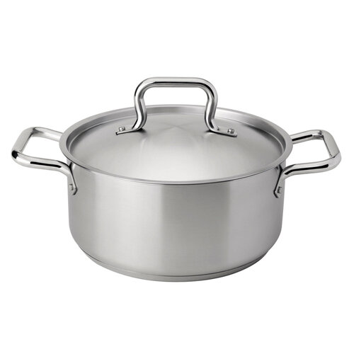Stainless steel Dutch oven