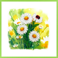 Daisy and Ladybug Greeting Card